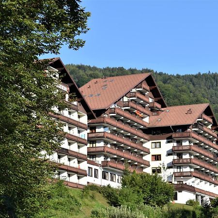 Apartment D 'Freizeit Бад Гойзерн Екстериор снимка